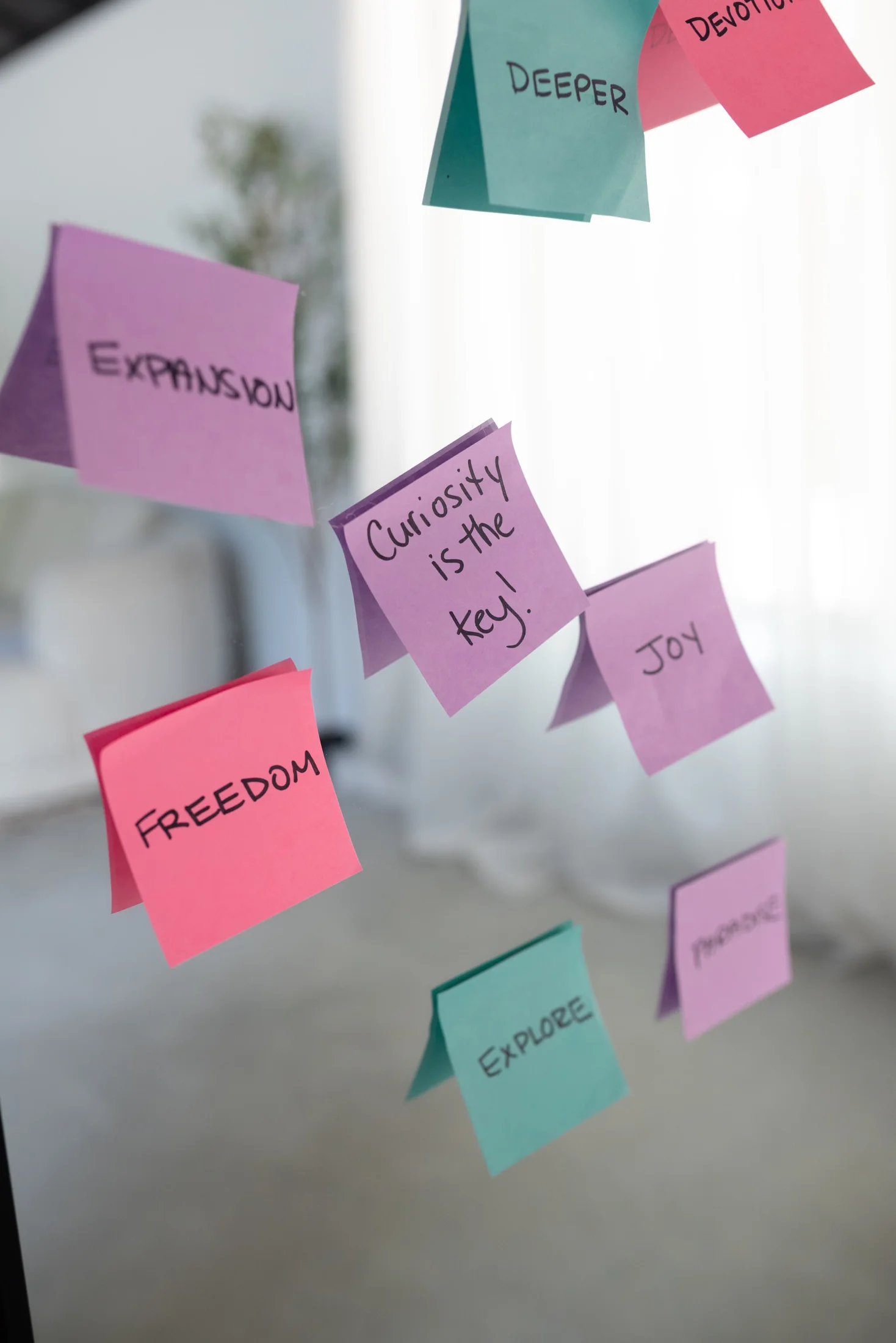 Handwritten notes with words like self trust and freedom floating in soft light